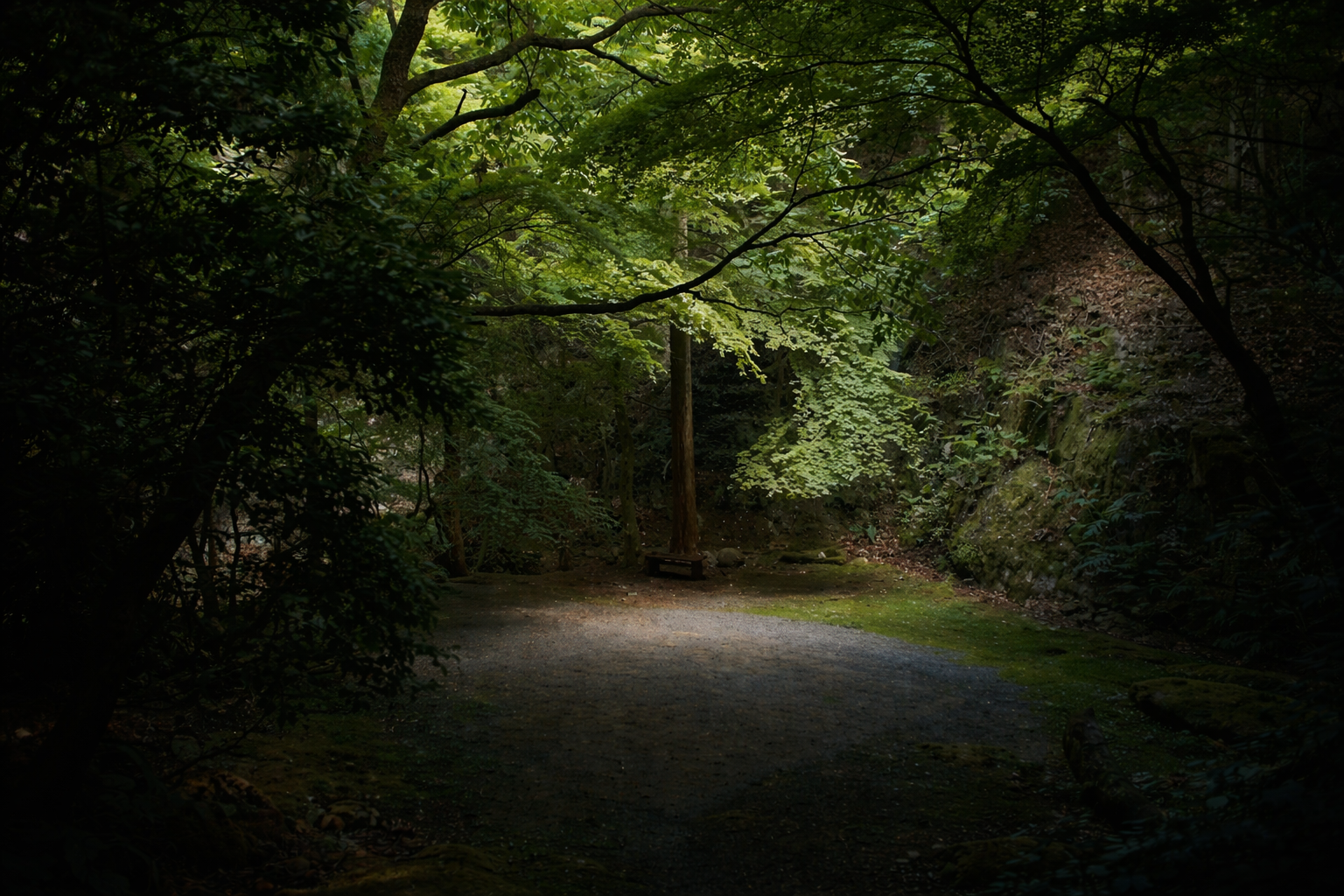 Jade Circle — botanical luxury spaces